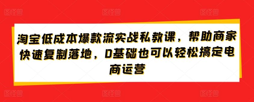 淘宝低成本爆款流实战私教课，帮助商家快速复制落地，0基础也可以轻松搞定电商运营-鼎铸网