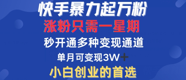 快手暴力起万粉，涨粉只需一星期，多种变现模式，直接秒开万合，单月变现过W【揭秘】-鼎铸网