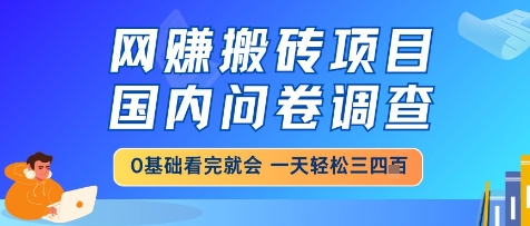 网创搬砖项目，国内问卷调查，小白轻松上手，一天三四张的也不难，干就完了【揭秘】-鼎铸网