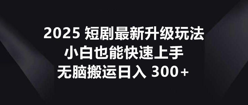 2025短剧最新升级玩法，小白也能快速上手，无脑搬运日入300+-鼎铸网