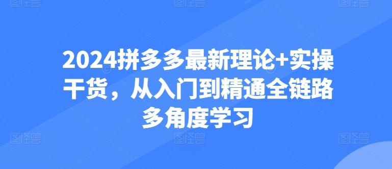 2024拼多多最新理论+实操干货，从入门到精通全链路多角度学习-鼎铸网