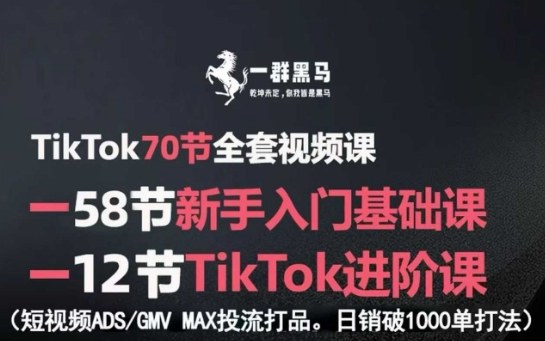 TikTok全套视频课，新手入门+进阶课，短视频ADS-GMV MAX投流打品，日销破1000单打法-鼎铸网