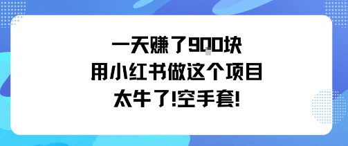 一天挣了9张用小红书做这个项目太牛了，空手套-鼎铸网