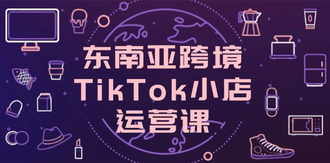 东南亚跨境TikTok小店运营课，掌握店铺设置与流量转化核心技巧-鼎铸网