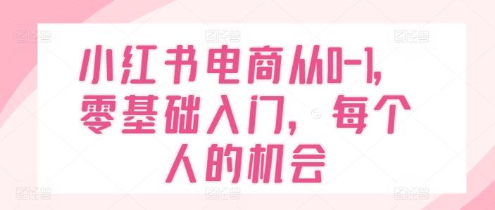 小红书电商从0-1，零基础入门，每个人的机会-鼎铸网