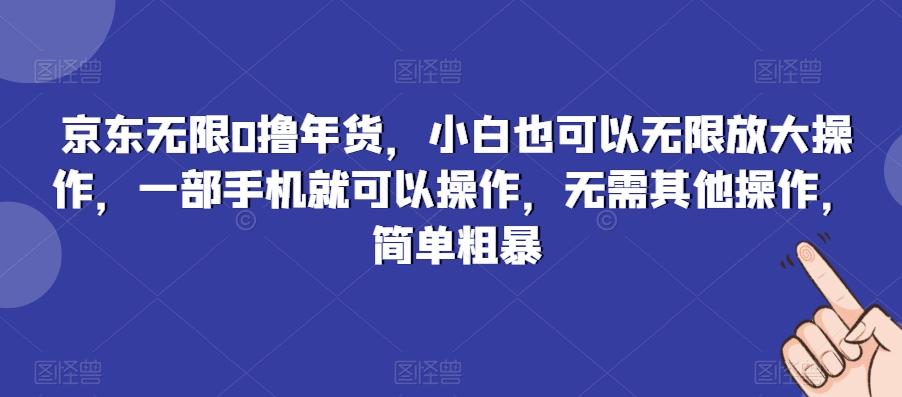 京东无限0撸年货，小白也可以无限放大操作，一部手机就可以操作，无需其他操作，简单粗暴-鼎铸网