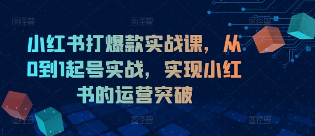 小红书打爆款实战课，从0到1起号实战，实现小红书的运营突破-鼎铸网