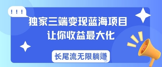 独家三端变现蓝海项目，让你收益最大化，长尾流无限躺挣-鼎铸网