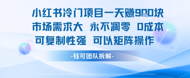 小红书冷门项目一天收益9张，市场需求大，0成本，可复制性强可以矩阵操作-鼎铸网
