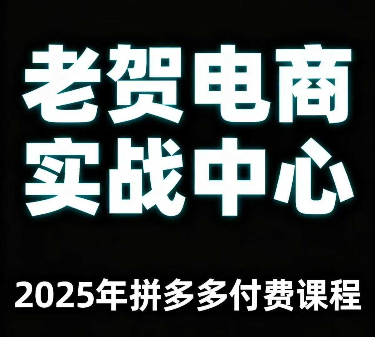 老贺电商2025年拼多多付费课程，用通俗易懂的方法告诉你多多怎么玩-鼎铸网