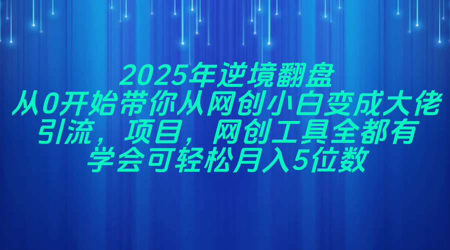 2025年逆境翻盘，从0开始带你从网创小白变成大佬，引流，项目，网创工...-鼎铸网