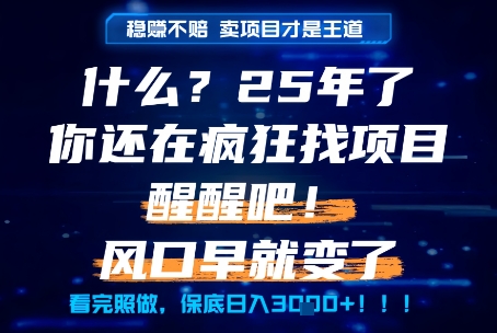 什么？25年你还在疯狂找项目做，醒醒吧，看完这些你全都懂了！【揭秘】-鼎铸网