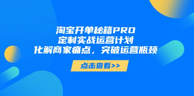 淘宝开单秘籍PRO，定制实战运营计划，化解商家痛点，突破运营瓶颈-鼎铸网