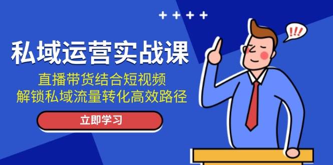 私域运营实战课：直播带货结合短视频，解锁私域流量转化高效路径-鼎铸网