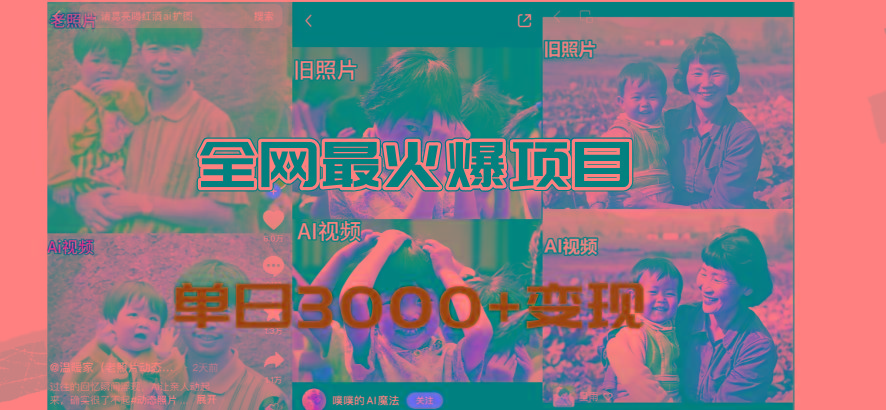 全网爆火的AI让老照片动起来教程，蹭热点日赚3000+，内含免费工具一键…-鼎铸网