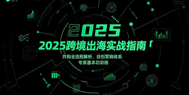 2025跨境出海实战指南，并购全流程解析，自创营销体系，专家基本功训练-鼎铸网