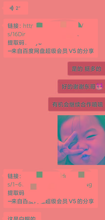 某收费培训：如何一个月快速做出盈利的资源网站(实打实经验)-18节无水印