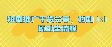 短剧推广干货分享，豹剧 1:1原创全流程-鼎铸网