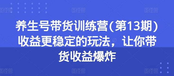 养生号带货训练营(第13期)收益更稳定的玩法，让你带货收益爆炸-鼎铸网