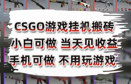 CSGO游戏挂G搬砖，小白纯手机即可操作，不用电脑打游戏，日入3张+，副业网创项目【揭秘】-鼎铸网
