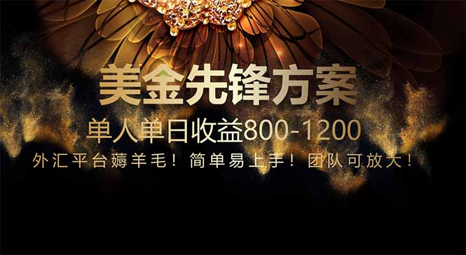 免费技术！小众赛道！一年布局抵三年努力，每日800+-鼎铸网