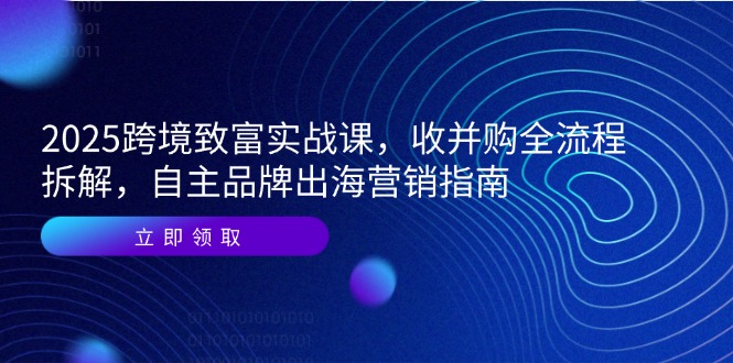 2025跨境致富实战课，收并购全流程拆解，自主品牌出海营销指南-鼎铸网