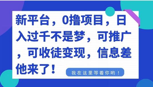 不要再花冤枉钱了，0撸项目，每天坚持，稳定1000+-鼎铸网