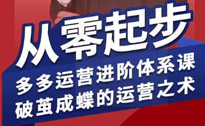 拼多多运营进阶系统课，从零起步，多多运营进阶体系课，破茧成蝶的运营之术(更新9月)-鼎铸网