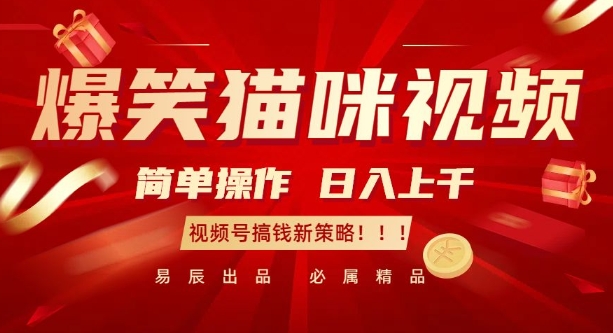 爆笑猫咪视频：简单操作，日入过K，视频号搞钱新策略【揭秘】-鼎铸网