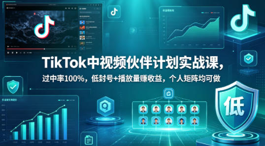 TikTok中视频伙伴计划实战课，过中率100%，低封号+播放量賺收益，个人矩阵均可做-鼎铸网