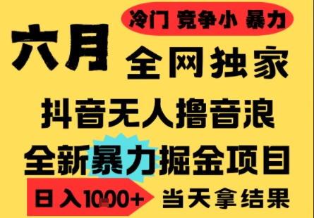 25年6月高爆抖音无人直播最新撸音浪掘金项目，小白可做，无脑日入1k+，门槛低可批量矩阵【揭秘】-鼎铸网