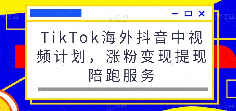 TikTok海外抖音中视频计划，涨粉变现提现陪跑服务-鼎铸网