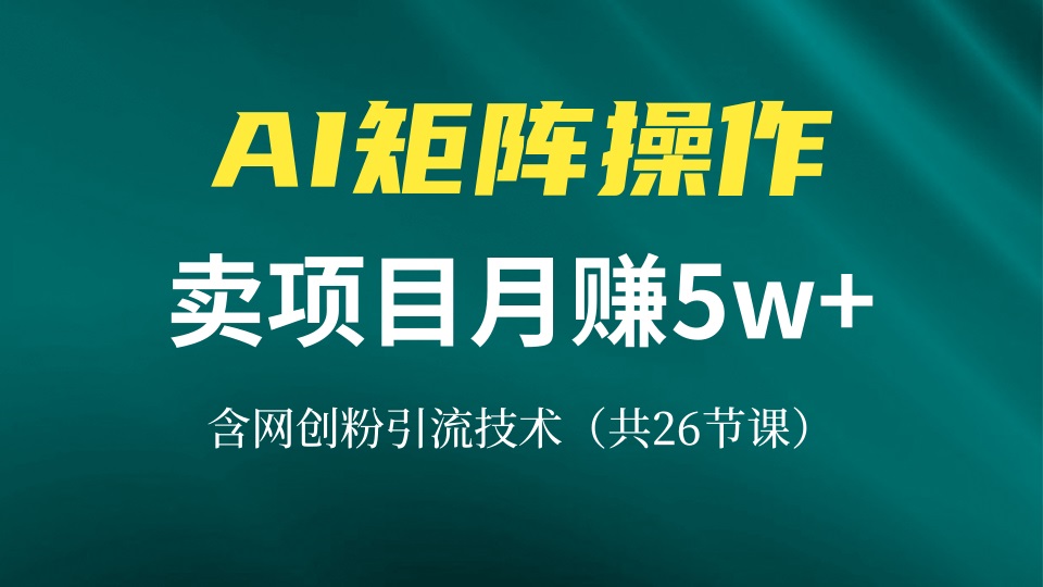 网创IP打造课，借助AI卖项目月赚5万+，含引流技术(共26节课-鼎铸网