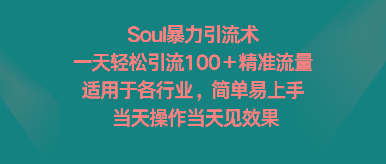 Soul暴力引流术，一天轻松引流100＋精准流量，适用于各行业，简单易上手！-鼎铸网