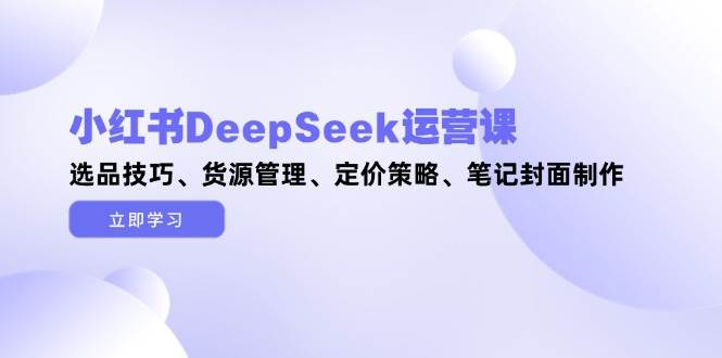 小红书DeepSeek运营课，选品技巧、货源管理、定价策略、笔记封面制作-鼎铸网