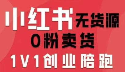 小红书无货源0粉电商课，开店准备、选品策略、笔记撰写、视频剪辑、数据分析、账号打造、资料文档(更新26年1月)-鼎铸网