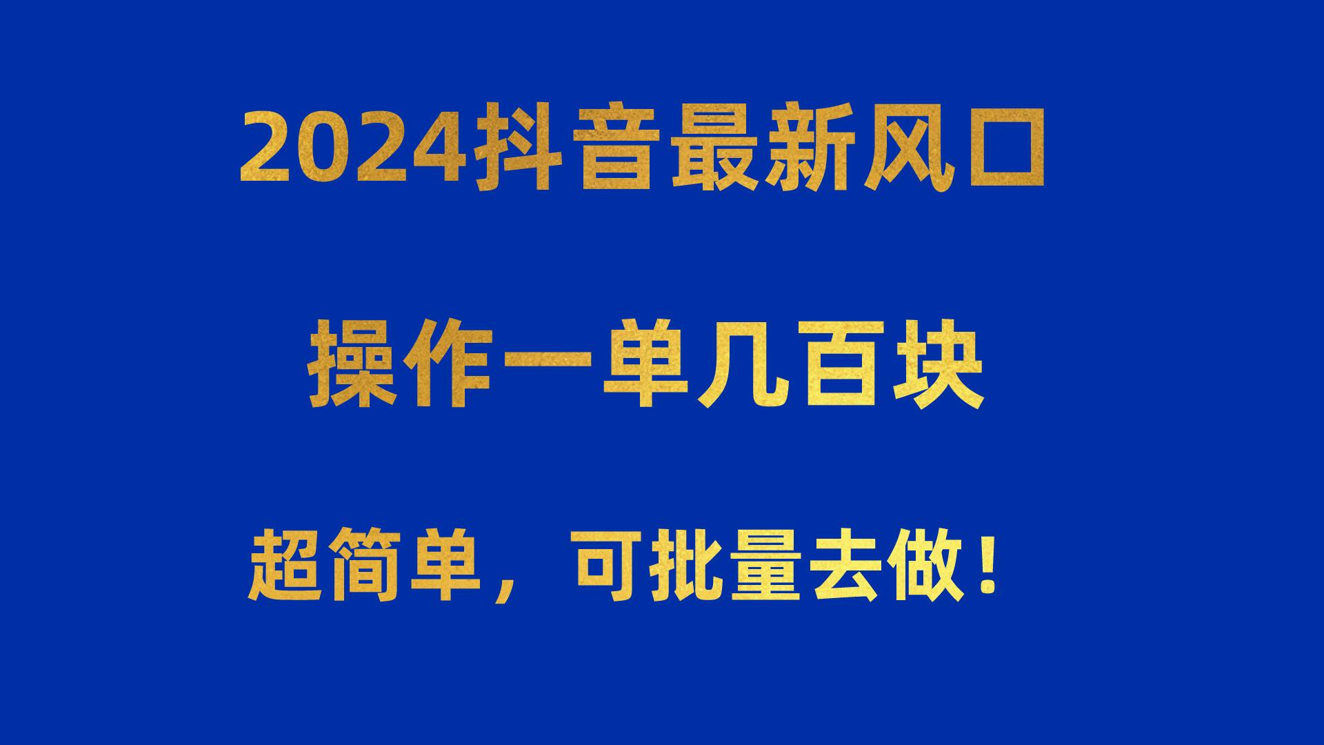 2024抖音最新风口！操作一单几百块！超简单，可批量去做！！！-鼎铸网