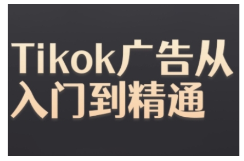 Tiktok Ads实操教程，Tiktok广告从入门到精通-鼎铸网