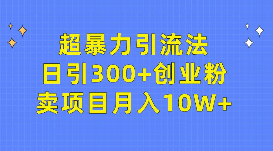 (9954期)超暴力引流法，日引300+创业粉，卖项目月入10W+-鼎铸网