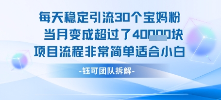 每天稳定引流30个人 当月变成超过了4个W项目流程非常简单适合小白-鼎铸网