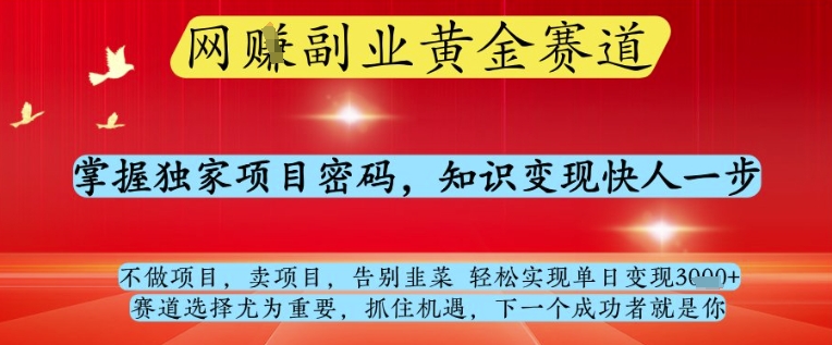网创副业黄全赛道，掌握独家项目密码，知识变现快人一步，告别韭菜轻松实现单日变现1k+【揭秘】-鼎铸网
