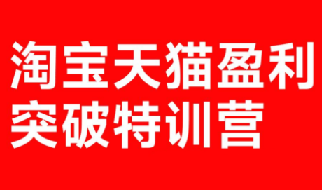 玺承·淘宝天猫盈利突破特训营(25年12月线下课)【音频+字幕】-鼎铸网