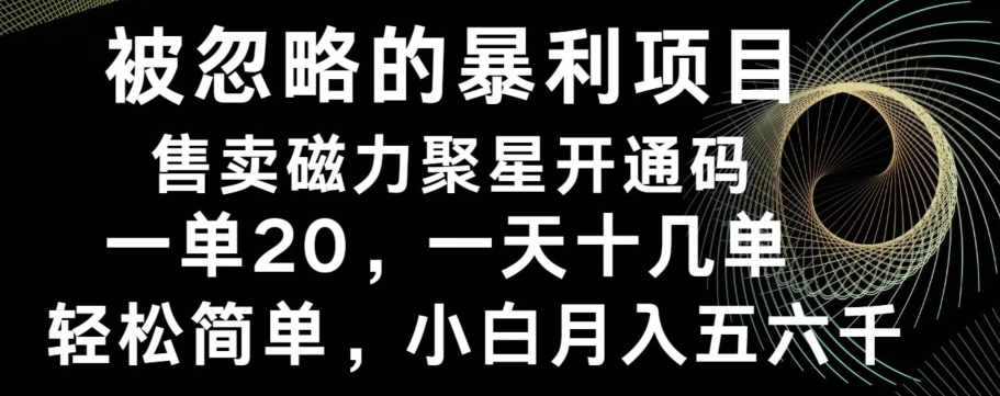 被忽略的暴利项目！售卖磁力聚星开通码，一单20，一天十几单，轻松月入五六千-鼎铸网
