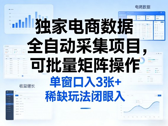 独家电商数据全自动采集项目，可批量矩阵操作，单窗口日入3张+，稀缺玩法闭眼入【揭秘】-鼎铸网
