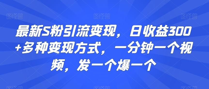 最新S粉引流变现，日收益300+多种变现方式，一分钟一个视频，发一个爆一个【揭秘】-鼎铸网