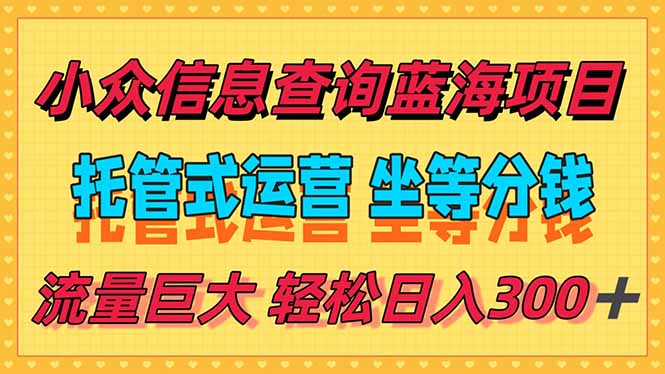 稳定日入300＋，小众信息查询蓝海项目，全程懒人式托管，解放你的时间-鼎铸网