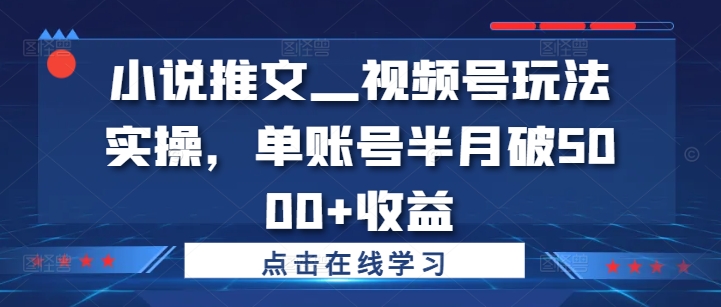 小说推文—视频号玩法实操，单账号半月破5000+收益-鼎铸网