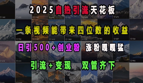 2025自热引流天花板，一条视频能带来四位数的收益，引流+变现双管齐下，日引500+创业粉，涨粉嘎嘎猛-鼎铸网