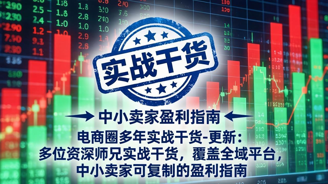 电商圈多年实战干货-更新5月10：多位资深师兄实战干货/覆盖全域平台，中小卖家可复制的盈利指南-鼎铸网