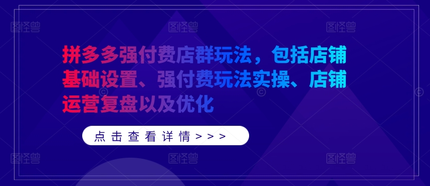 拼多多强付费店群玩法，包括店铺基础设置、强付费玩法实操、店铺运营复盘以及优化-鼎铸网